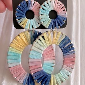 Multicolor oval earrings!